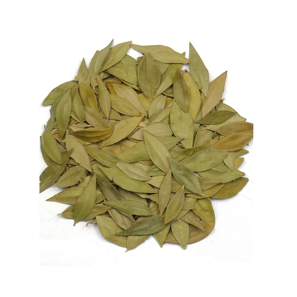 Mersin Yaprağı Myrtus communis 500 gr, Derya Eren - Resim 2