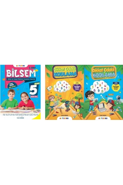 1. SINIF BİLSEM VE DİKKAT ODAKLI ÇIKARTMA-TOPLAMA SETİ ürün görseli 1