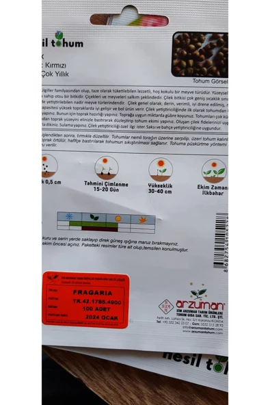 YEDİVEREN ÇİLEK TOHUMU - Resim 4