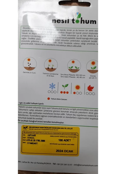KORNİŞON(MİNİ) TURŞULUK - Resim 3