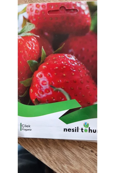 YEDİVEREN ÇİLEK TOHUMU ürün görseli 1