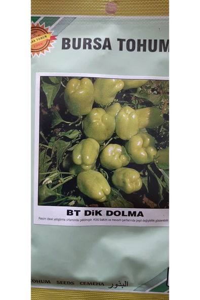KOLUKISA TARIM DİK DOLMA BİBER TOHUMU - Resim 3