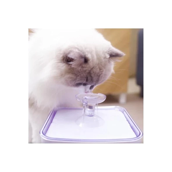 Aclium Kedi Su Sebili 2,4 Lt - Resim 2