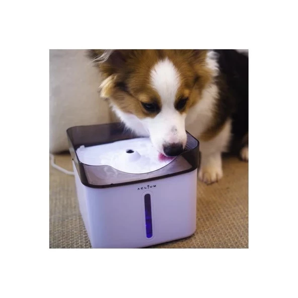 Aclium Köpek Su Sebili 2,4 Lt - Resim 2