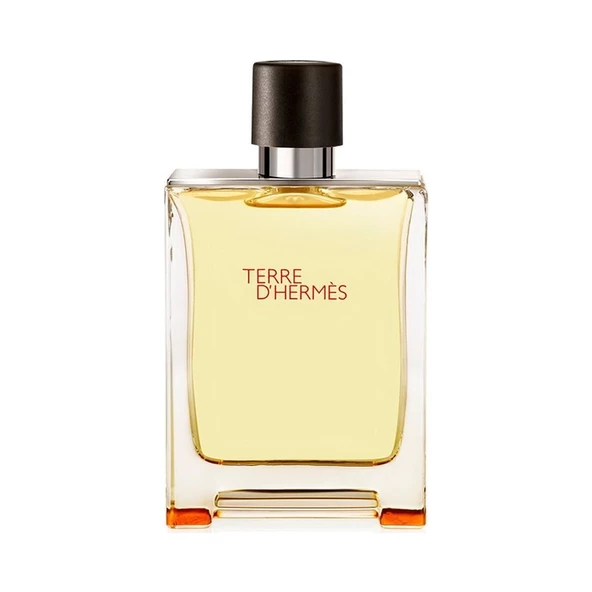 Hermes Terre D'Hermes EDT 100 ml Erkek Parfüm ürün görseli 1