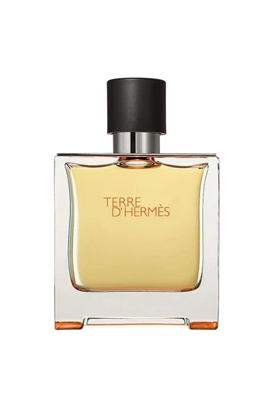 Hermes Terre D'Hermes EDP 75 ml Erkek Parfüm ürün görseli 1