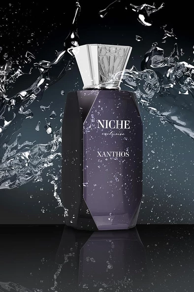 Niche Exclusive Xanthos EDP 100 ml - Resim 2