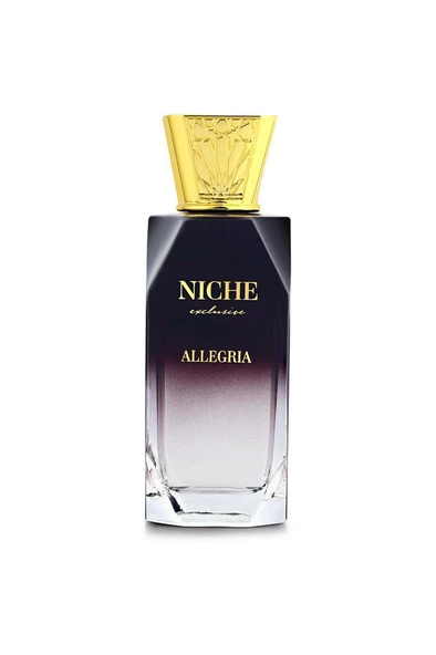 Niche Exclusive Allegria EDP 100 ml - Resim 3