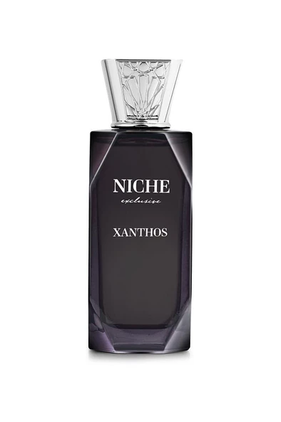 Niche Exclusive Xanthos EDP 100 ml - Resim 3