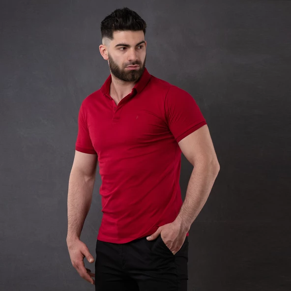 SAN&FA POLO YAKA SLİMFİT ERKEK T-SHİRT ürün görseli 1