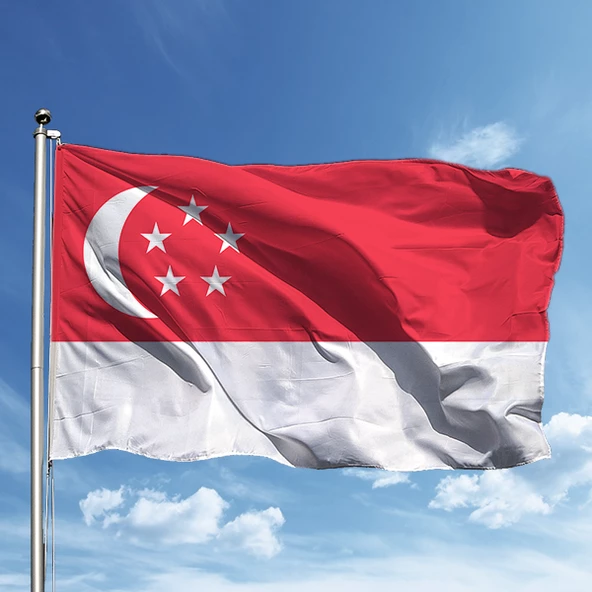 Singapur Bayrağı 50*75 cm ürün görseli 1