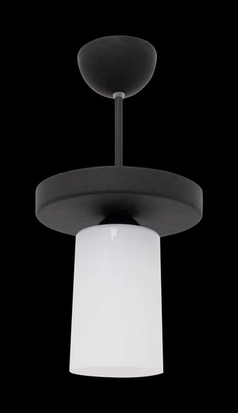 D-light Sultan Plastik Tekli Avize - Resim 2