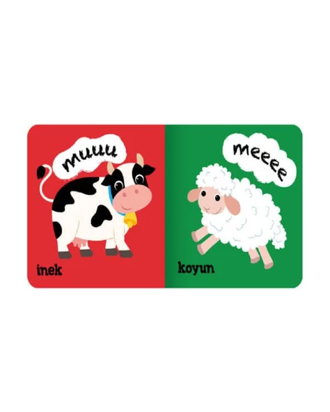 Eolo Minik Kitaplar Hayvanlar - Resim 2