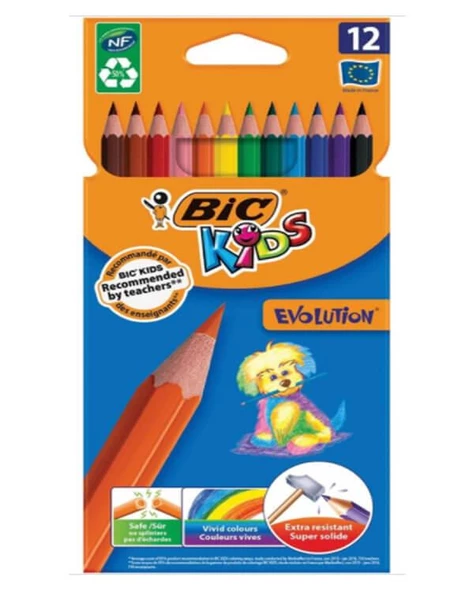 Bic Kids Evolution Kuru Boya Kalemi 12li ürün görseli 1