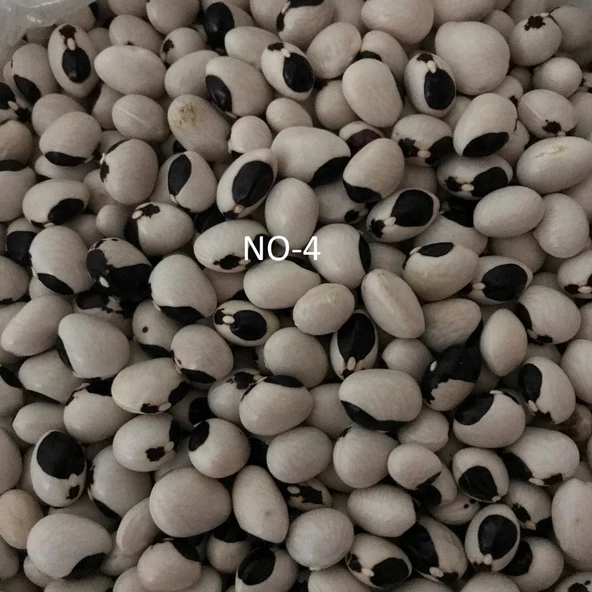 YERLİ AYŞE KADIN SIRIK FASULYE TOHUMU 100 GR (SİYAH LEKELİ) ürün görseli 1