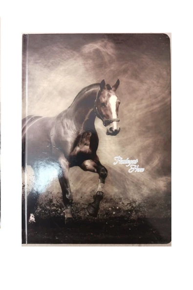 Sert Kapak Hafif Defteri 20x28cm Kareli 144 Yaprak ürün görseli 1