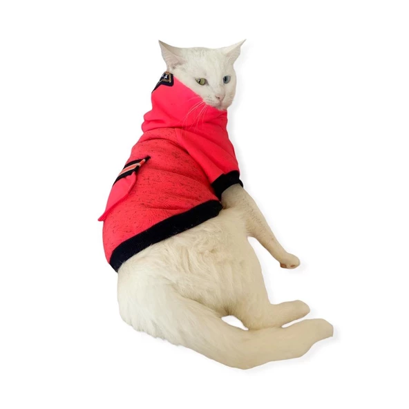 Pink Stars Kapşonlu Sweatshirt  Kedi Kıyafeti ürün görseli 1