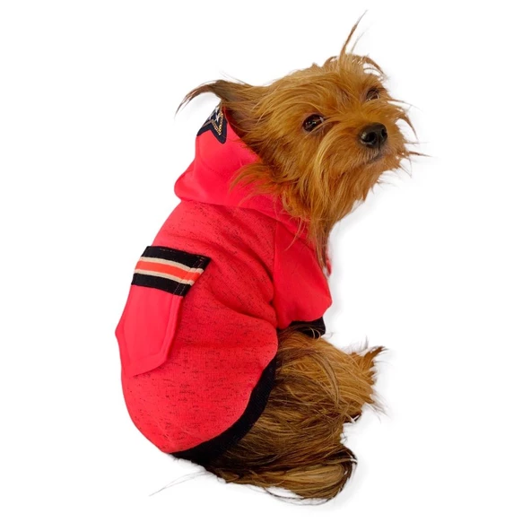 Pink Stars Kapşonlu Sweatshirt Köpek Kıyafeti ürün görseli 1