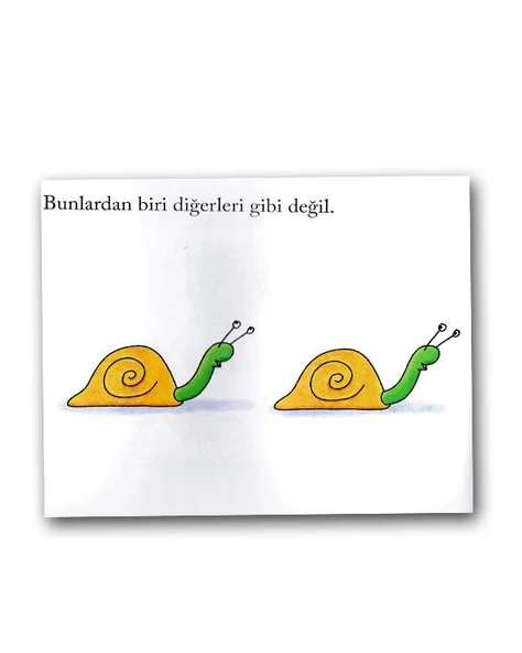 Eolo Bunlardan Biri Diğerleri Gibi Değil - Resim 2