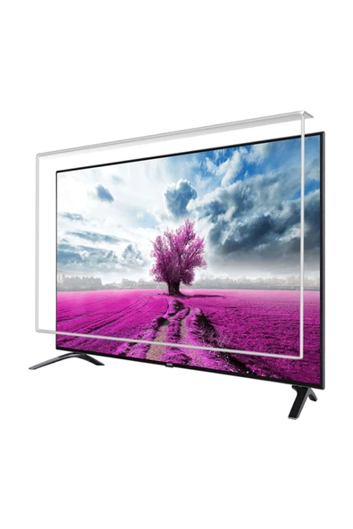Etiasglass  Vestel 55OD9900 Tv Ekran Koruyucu Ekran Koruma Camı ürün görseli 1