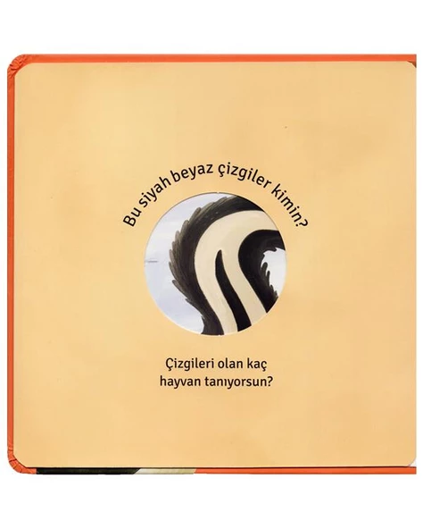 Başka Kim Var Bana Benzer? - Resim 2