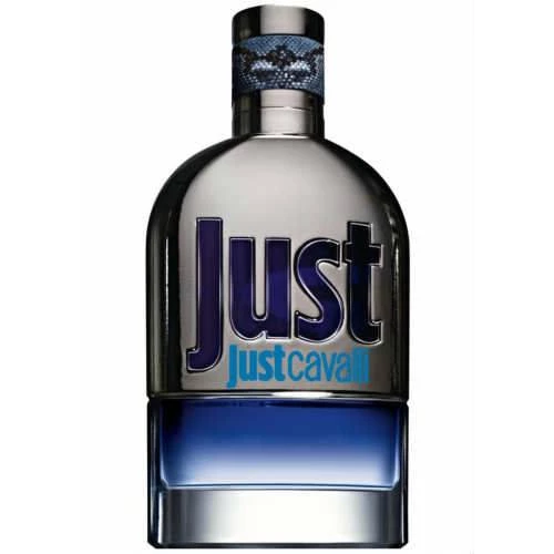 Roberto Cavalli Just Cavalli EDT 90ML Erkek Parfümü ürün görseli 1
