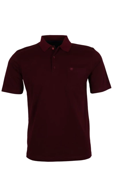 Erkek Bordo Renk Polo Yaka Tişört Pamuklu Normal Kesim RAR00865 ürün görseli 1