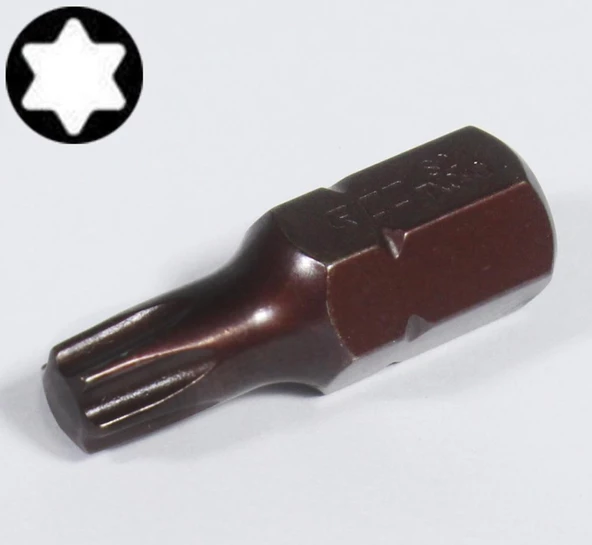 Rico Kaplamalı Mıknatıslı Torx Tork Bits Uç Ucu T45 30 mm ürün görseli 1