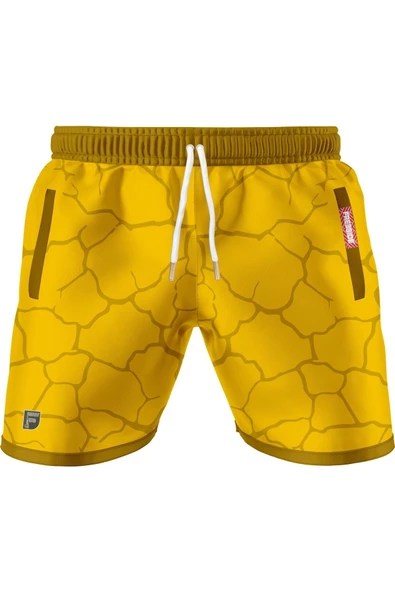 FREESIDE REGION OUTSIDE TRAINING SHORTS ürün görseli 1