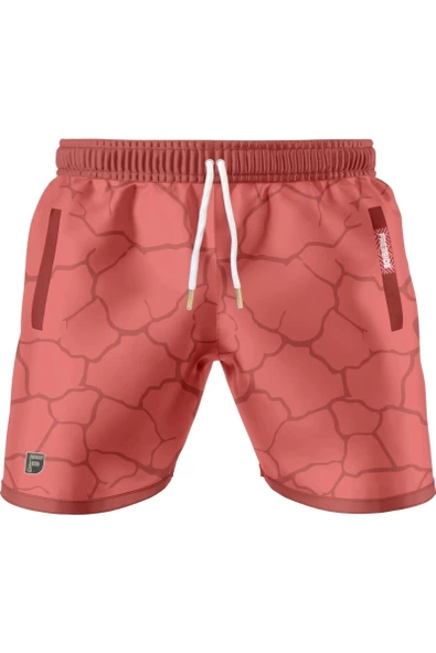 FREESIDE REGION OUTSIDE TRAINING SHORTS - Resim 5