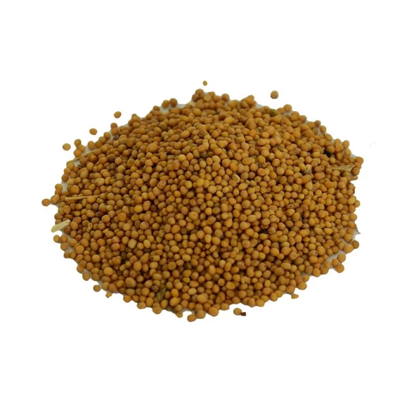 Doğal Sarı Hardal Tohumu Tane Saf Sarı Hardal Tohum 100GR ürün görseli 1