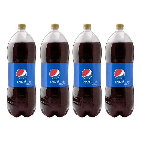 Pepsi 2.5 lt 4 lü ürün görseli 1