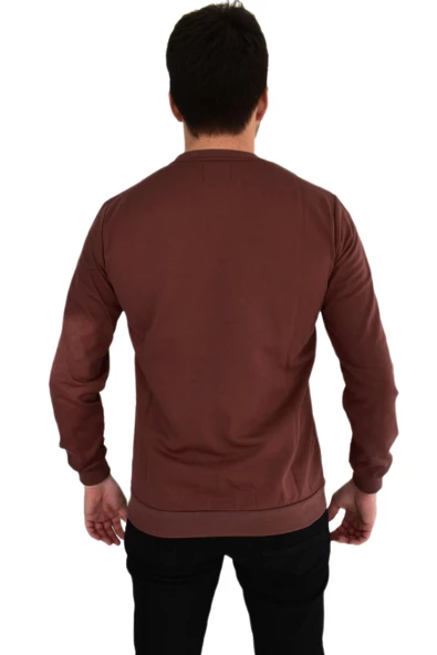 Erkek Sıfır Yaka Sweat Whatever BGL-ST01723 - Resim 12