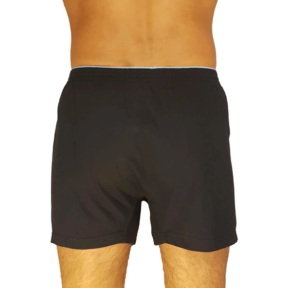 10 ADET BİCCİ %100 PAMUK ERKEK BOXER - Resim 7