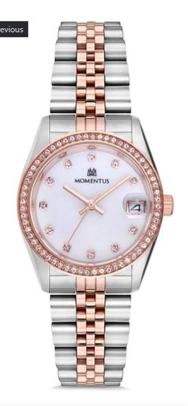 Momentus SW131T-02SR Kadın Kol Saati ürün görseli 1
