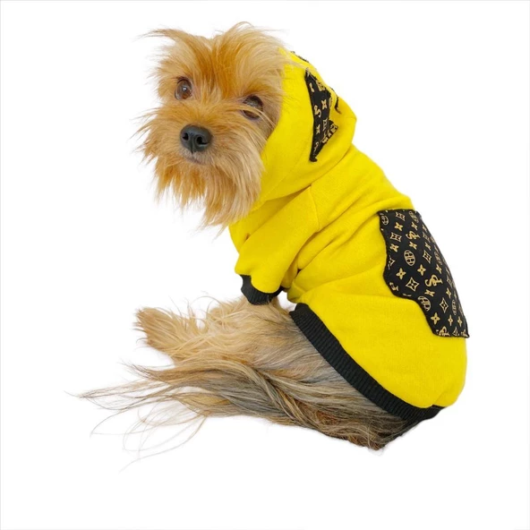 Yellow Lux Kapşonlu Sweatshirt Köpek Kıyafeti Köpek Elbisesi ürün görseli 1