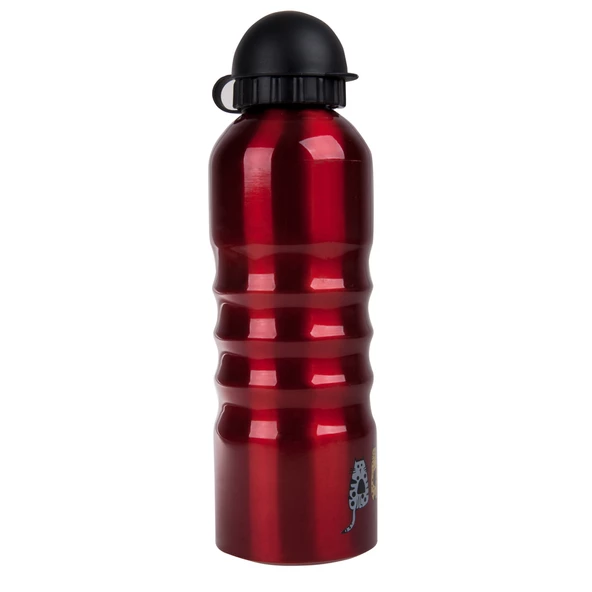 Biggdesign Cats Alüminyum Matara 700 Ml - Resim 2