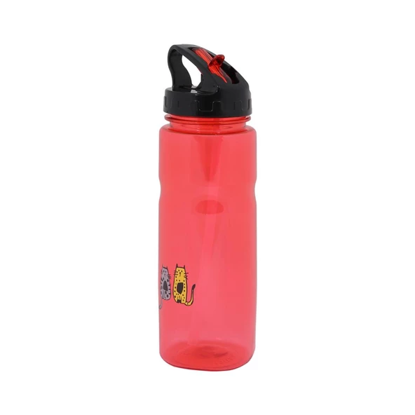 Biggdesign Cats Tritan Matara 650 ml - Resim 2