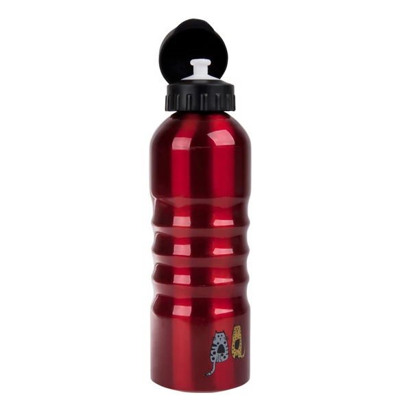 Biggdesign Cats Alüminyum Matara 700 Ml - Resim 6