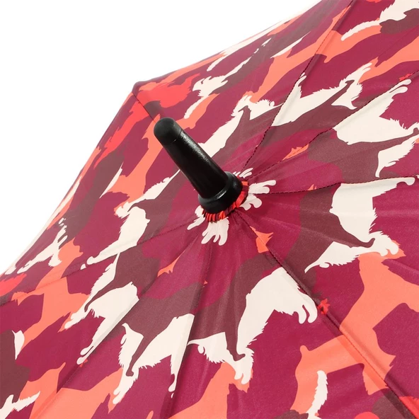 Biggdesign Dogs Şemsiye - Resim 6