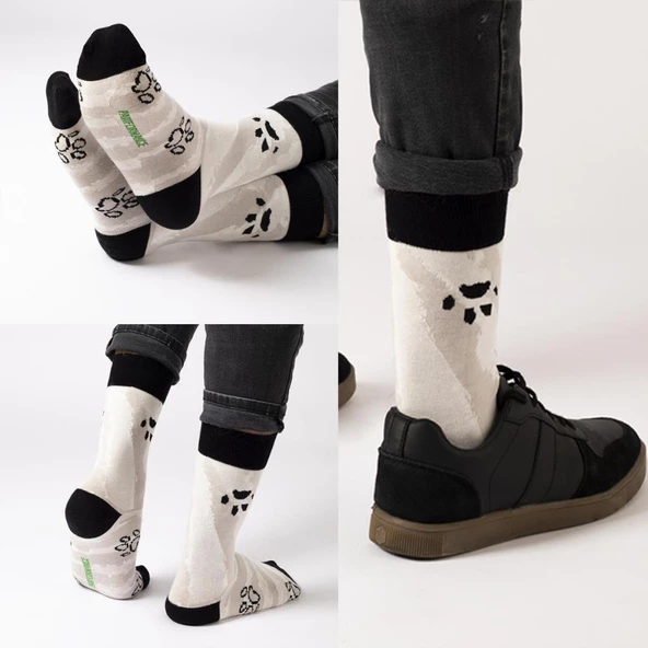 Biggdesign Dogs Erkek 3'lü Soket Çorap Seti - Resim 9