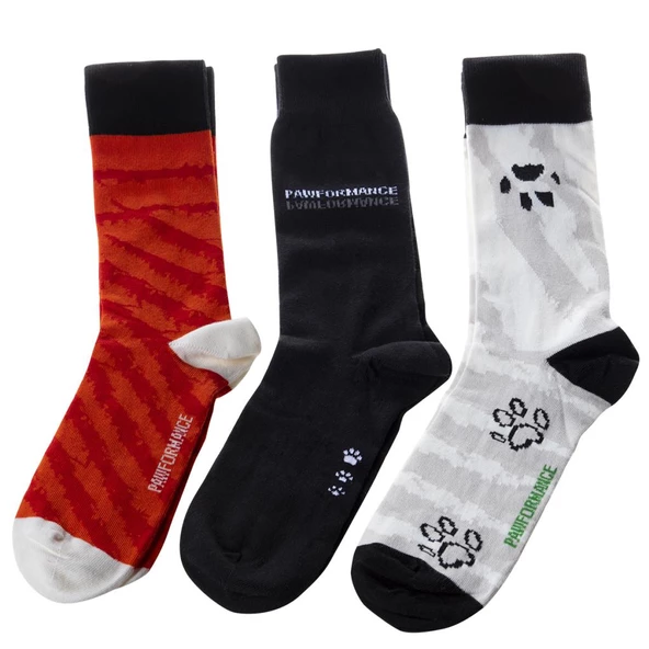 Biggdesign Dogs Erkek 3'lü Soket Çorap Seti ürün görseli 1