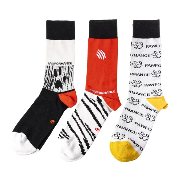 Biggdesign Dogs Pawformance Erkek 3'lü Soket Çorap Seti ürün görseli 1