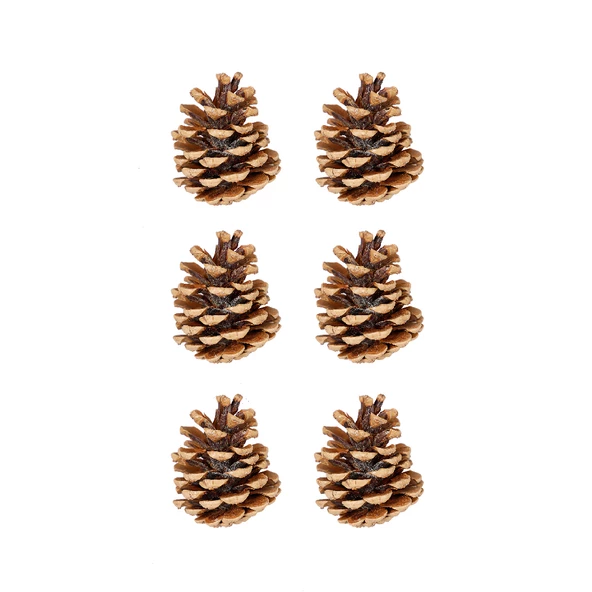 Yılbaşı Çam Ağcı Süsü Kozalak 6 cm 6'lı ürün görseli 1
