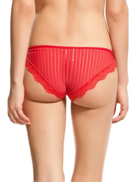 X LADY DANTELLİ TRANSPARAN KADIN KÜLOT 500 ürün görseli 1