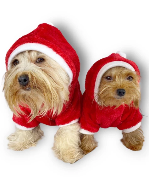 Santa Time Yılbaşı Köpek Sweatshirt, Noel Sweatshirt gold - Resim 12
