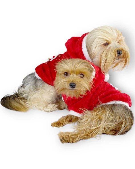 Santa Time Yılbaşı Köpek Sweatshirt, Noel Sweatshirt gold - Resim 9