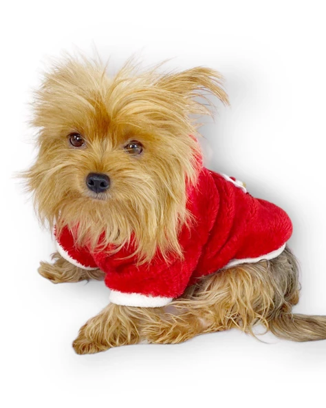 Santa Time Yılbaşı Köpek Sweatshirt, Noel Sweatshirt gold - Resim 10