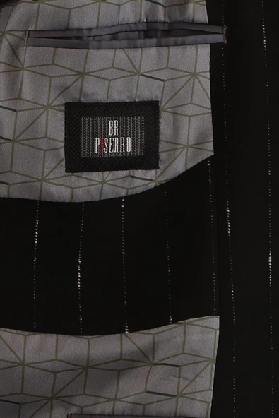 Slim Fit Ceket - Resim 5