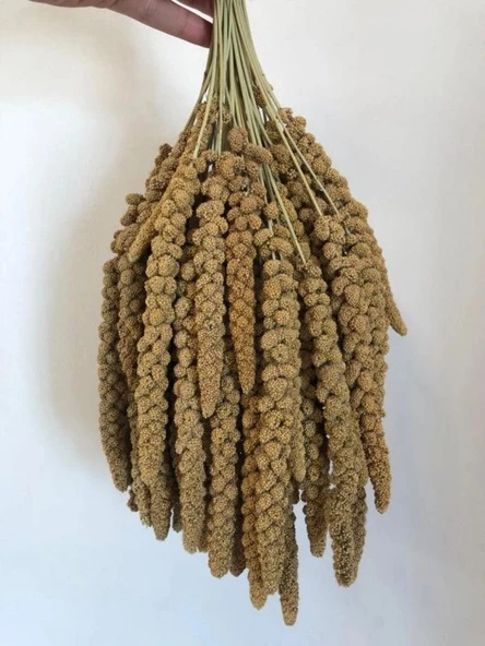 Sarı Dal Darı-5 Kg ürün görseli 1